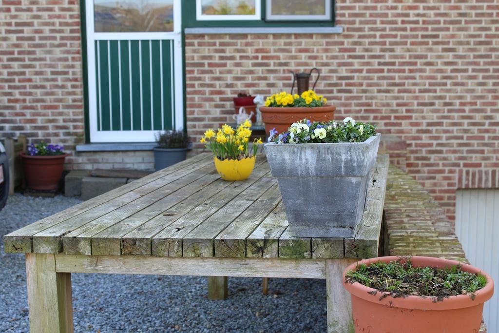 B&B De Vroling Wellen Exterior photo